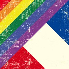 Mixed grunge gay with french flag N2