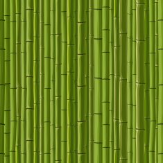 Seamless background of green wall bamboo