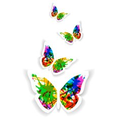 butterfly N174