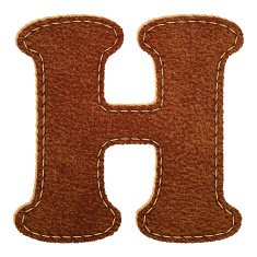 Leather textured letter H