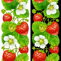 Vector strawberry seamless vertical pattern isolated on background N2