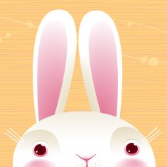 Close up of a surprised rabbit EPS8