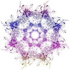 Roses and camomiles Mandala freehand drawing ornament pattern N12