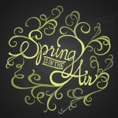 SPRING AIR - ornament phrase