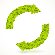 Recycle symbol with leaves texture Vector illustration N2
