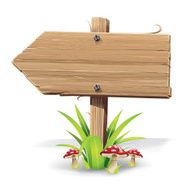 Wooden sign on a grass with mushrooms N5