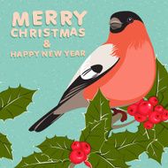 Christmas background and greeting card with bullfinch holly