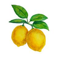 Watercolor lemons hanging on branch with leaves