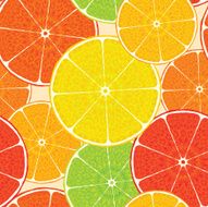 Abstract citrus high-detailed background Seamless