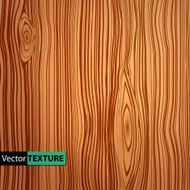 Vector wooden texture N13