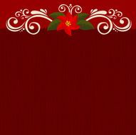 Poinsettia burgundy background N2