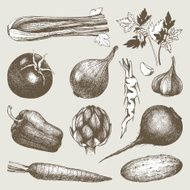 Vintage healthy food illustration N2