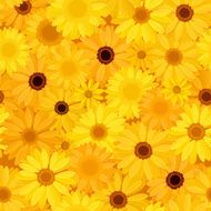 Seamless background with yellow flowers Vector illustration N2