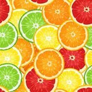 Seamless background with citrus fruits Vector illustration N5