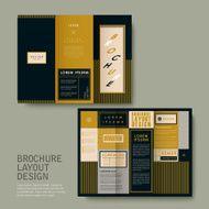 brochure design with square