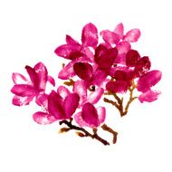 Red watercolor magnolia N2