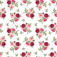 Seamless pattern with red and pink roses Vector illustration N3
