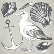 Vector collection of hand drawn sea illustrations