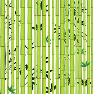 Bamboo seamless asian tropic forest