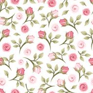 Seamless pattern with roses Vector illustration N12