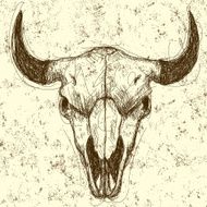 Cow skull background N2
