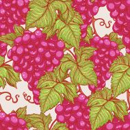 ripe red grapes