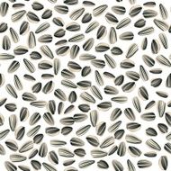 sunflower seeds seamless pattern