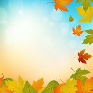 Autumn Background N201