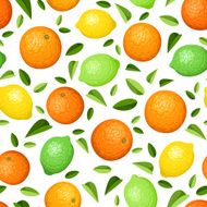 Seamless background with citrus fruits Vector illustration N6