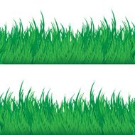 Green grass seamless texture