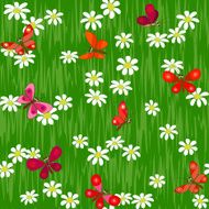 butterfly on camomile field seamless