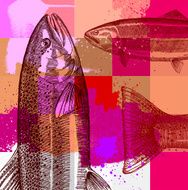 Fishing Grunge Design N3