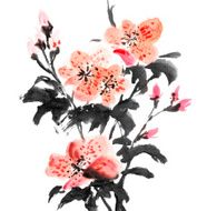 azalea flowers