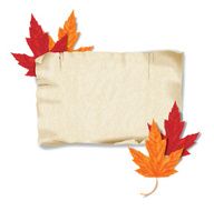 Realistic Vector Banner With Leaves in Fall Colors Isolated