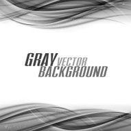 gray background N15