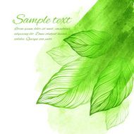 Watercolor green leaf design element Vector illustration N3