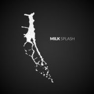 Milk splash isolated on black background N12