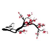 Bird on cherry blossoms branches