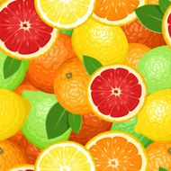 Seamless background with citrus fruits Vector illustration N7