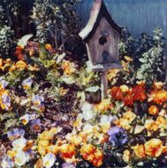 birdhouse N4