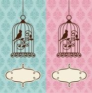 birdie N6