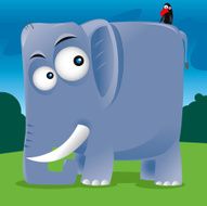 Square Elephant