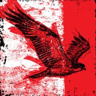 Bird of prey N2