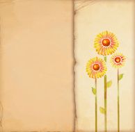 greeting card N255