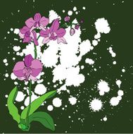 pink orchid illustration