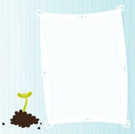 Baby plant