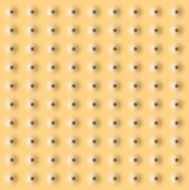 Vector realistic cookie texture background Eps10