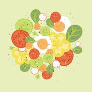 Fresh salad vector illustration