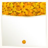Vector card with orange leaves Autumn background N2