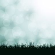 Nature background with grass and bokeh lights N2